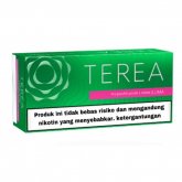 Heets Terea Green from Indonesia 10 cartons