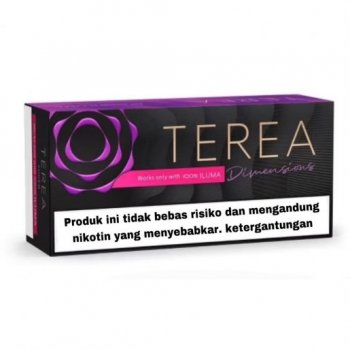 Heets Terea Yugen Dimensions from Indonesia 10 cartons