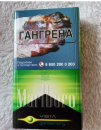 Marlboro Vista Garden Zing cigarettes 10 cartons