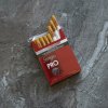 Gudang Garam Surya Pro cigarettes 10 cartons