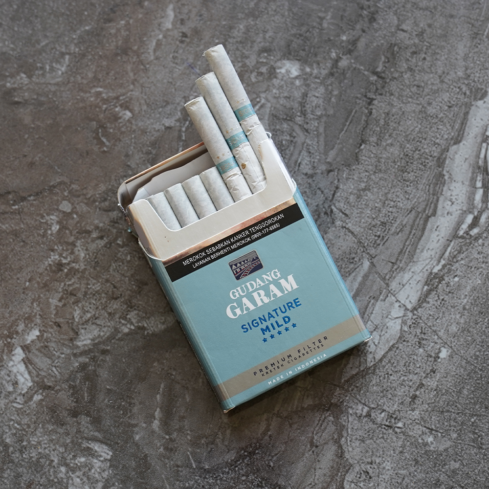 Gudang Garam Signature Mild cigarettes 10 cartons