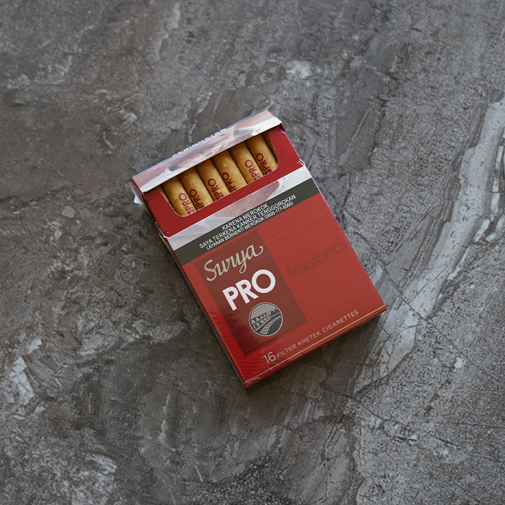 Gudang Garam Surya Pro cigarettes 10 cartons